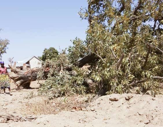 Mirigu Project Image 3